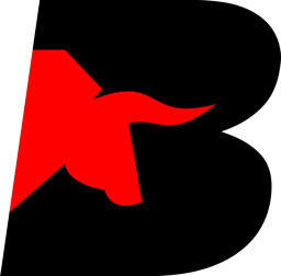 Bulls Vision Group